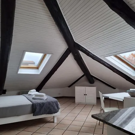 Apartment Stupenda Mansarda In Centro A Turin